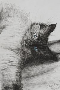 Atteindre, 2012 - Vincent Alexander Booth